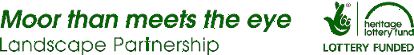 Moor than meets the eye logo